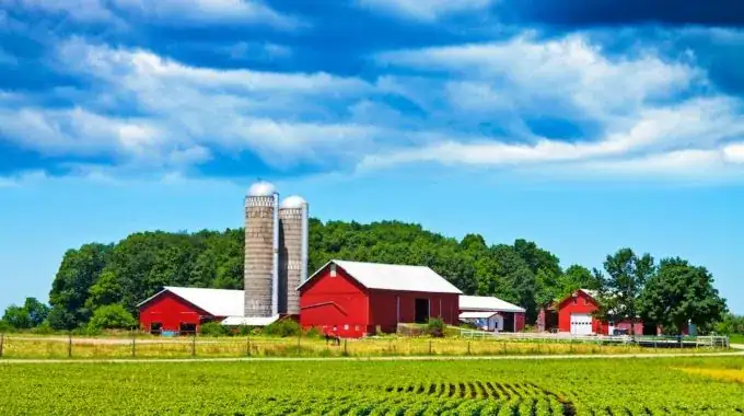 MapSavvy Is An Affordable Source For Aerial Imagery For Agriculture