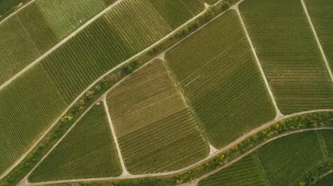 MapSavvy Provides Powerful, Affordable Aerial Imagery for Business
