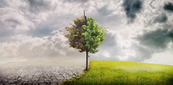 MapSavvy: A Potent Climate Change Tracker Tool