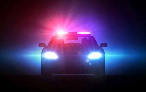 MapSavvy's Capabilities in Crime Mapping Help Catch the Bad Guys!