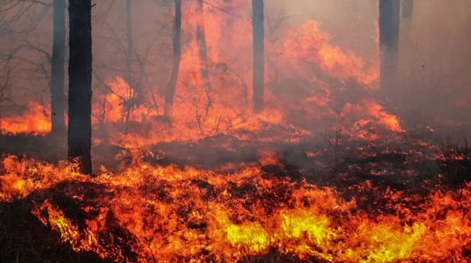 MapSavvy = Affordable, Easy-to-use Wildland Fire Mapping Software