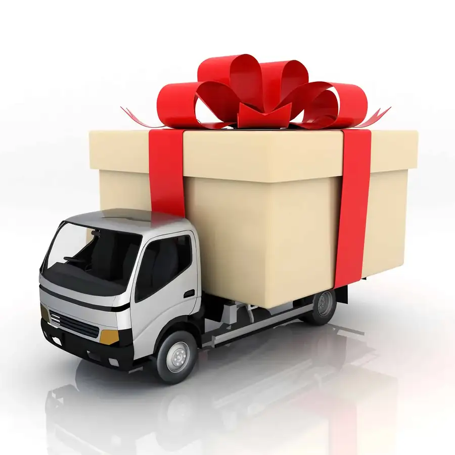 Truck Giant Christmas Package