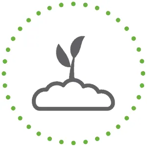 leaf and cloud graphic
