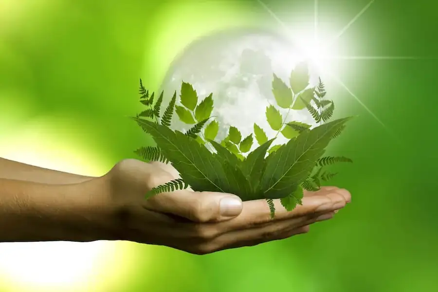 ENVIRONMENT Earth Leaves in Hands