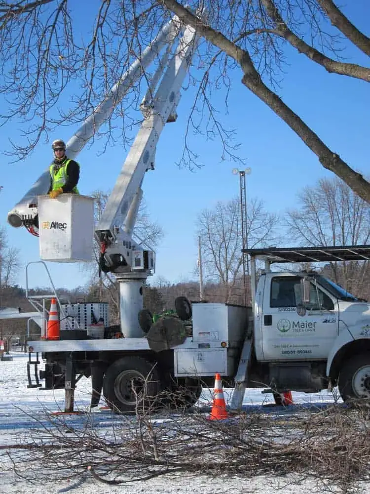 Tree Service Routing Software Case Study: Maier Tree & Lawn Uses RouteSavvy Routing Software To Save More Than $20,000 Per Year in Fleet & Labor Costs